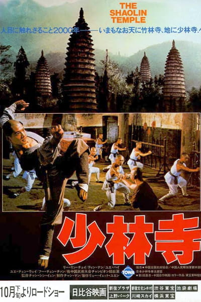 The Shaolin Temple (Shao Lin si)