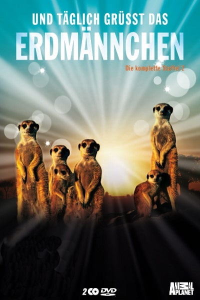 Meerkat Manor - Season 2