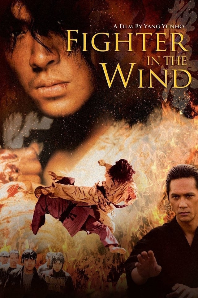 Fighter in the Wind (Baramui paiteo) [Audio: Korean]