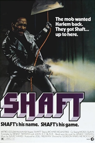 Shaft