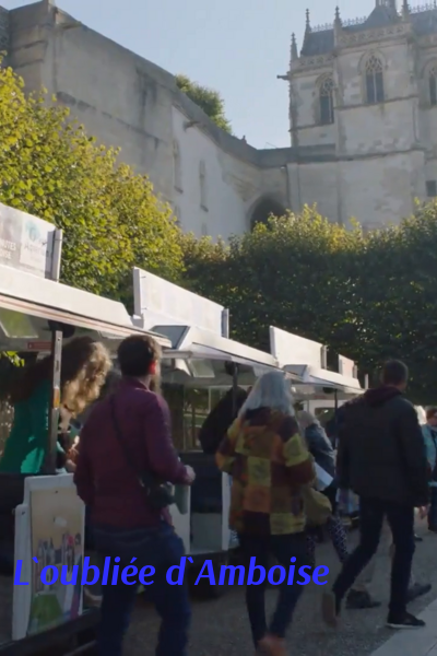 L`oubli&eacute;e d`Amboise