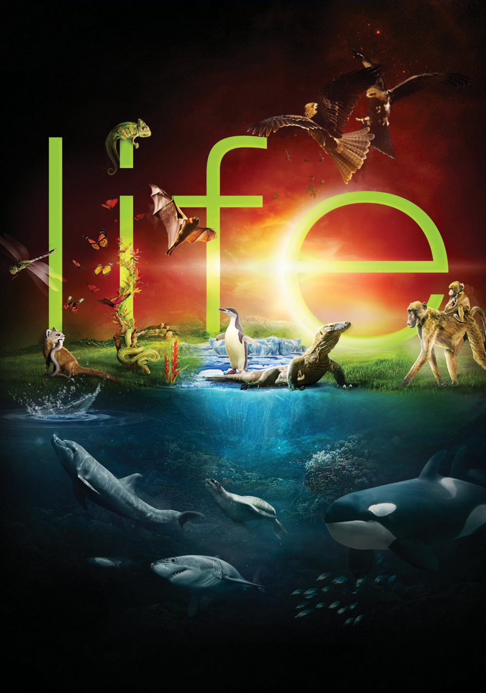 Life - Season 1 [Sub: Eng]
