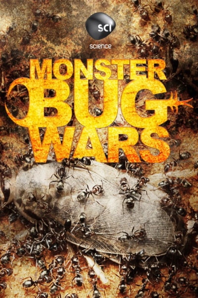 Monster Bug Wars! - Season 1