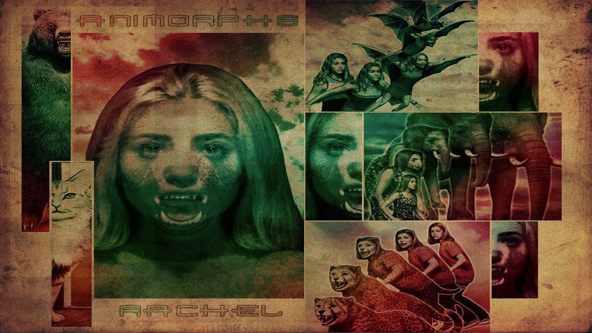 Season 1